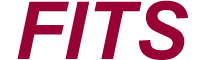 Fusion IT Sourcing